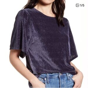Madewell Shimmering Deep Blue Velvet Short Sleeve Top